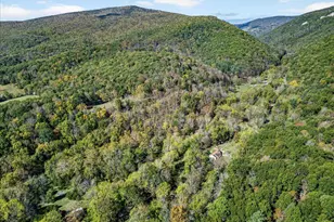 30 Polecat Hollow Blvd, Franklin, WV 26807 - Photo 68