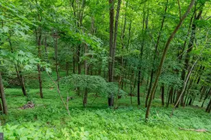 1862 Hawbush Rd, Circleville, WV 26804 - Photo 36