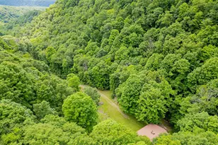 1862 Hawbush Rd, Circleville, WV 26804 - Photo 22