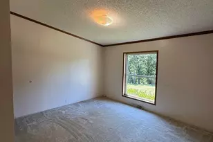 1829 Mozer Rd, Upper Tract, WV 26866 - Photo 38