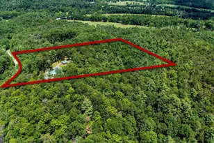 291 Grace Mountain Rd, Brandywine, WV 26802 - Photo 68