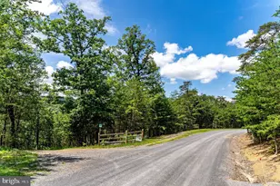 291 Grace Mountain Rd, Brandywine, WV 26802 - Photo 92