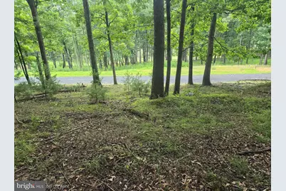 Lot 21 Fairway Ln, Franklin, WV 26807 - Photo 4