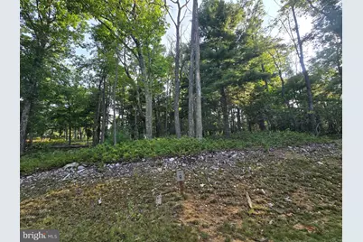 Lot # 9 Highland Ridge, Franklin, WV 26807 - Photo 4