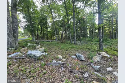 Lot # 9 Highland Ridge, Franklin, WV 26807 - Photo 2