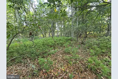 Lot # 9 Highland Ridge, Franklin, WV 26807 - Photo 6