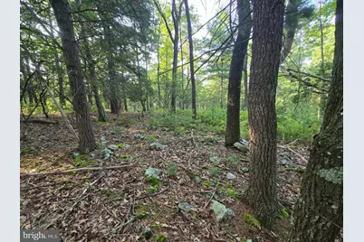 Lot # 9 Highland Ridge, Franklin, WV 26807 - Photo 14