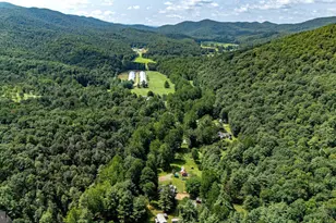 3368 Brushy Fork Rd, Sugar Grove, WV 26815 - Photo 54