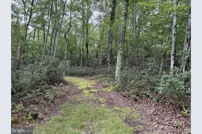 69 Sky Drive, Franklin, WV 26807 - Photo 22