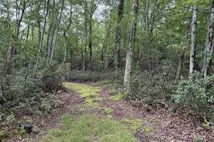 69 Sky Dr, Franklin, WV 26807 - Photo 22