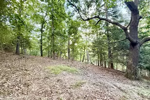 Lot 11 Smith Heights, Franklin, WV 26807 - Photo 1