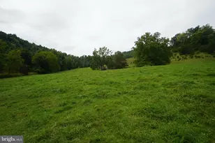 242 Newman Ln, Franklin, WV 26807 - Photo 30