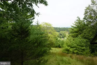 242 Newman Lane, Franklin, WV 26807 - Photo 36