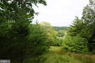 242 Newman Ln, Franklin, WV 26807 - Photo 36