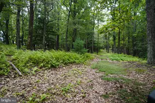 242 Newman Ln, Franklin, WV 26807 - Photo 34