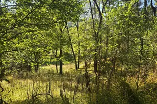 209 Happy Hollow Rd, Franklin, WV 26807 - Photo 8
