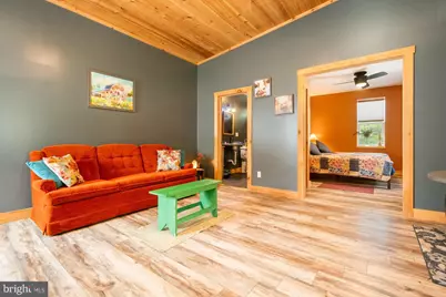 541 Spruce Street, Thomas, WV 26292 - Photo 54