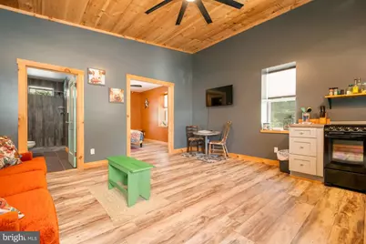 541 Spruce Street, Thomas, WV 26292 - Photo 56