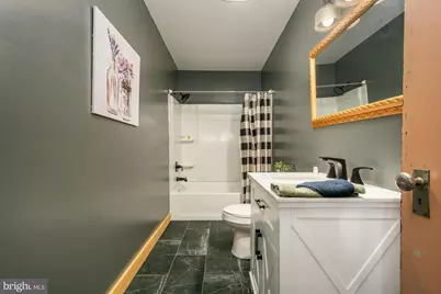 541 Spruce Street, Thomas, WV 26292 - Photo 50