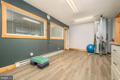 541 Spruce Street, Thomas, WV 26292 - Photo 32