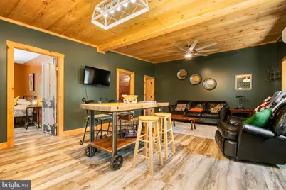 541 Spruce Street, Thomas, WV 26292 - Photo 44