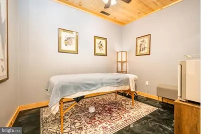 541 Spruce Street, Thomas, WV 26292 - Photo 12