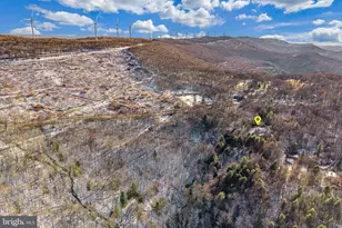 1012 Cannon Settlement Rd, Parsons, WV 26287 - Photo 48