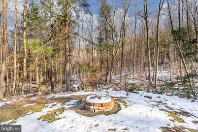 1012 Cannon Settlement Road, Parsons, WV 26287 - Photo 54