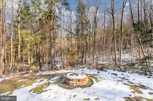 1012 Cannon Settlement Rd, Parsons, WV 26287 - Photo 54