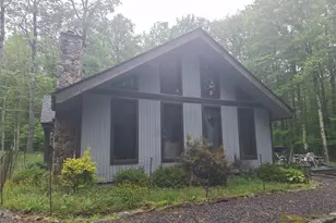 440 Bobcat Rd, Davis, WV 26260 - Photo 2