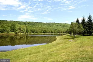 344 Mallow Lake Dr, Davis, WV 26260 - Photo 18