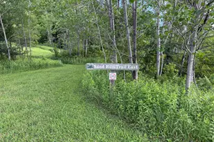 1077 Sand Run Rd, Davis, WV 26260 - Photo 66