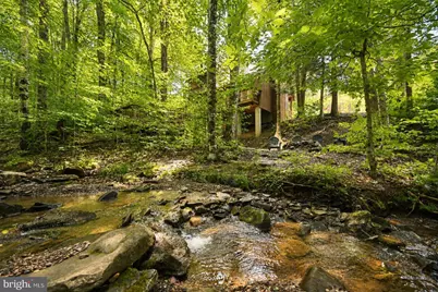 195 Brookside Road, Davis, WV 26260 - Photo 12