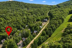 195 Brookside Rd, Davis, WV 26260 - Photo 4