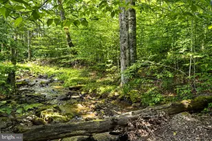 195 Brookside Rd, Davis, WV 26260 - Photo 14