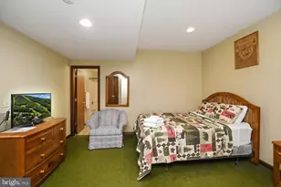 330 Slopeside Rd, Davis, WV 26260 - Photo 42