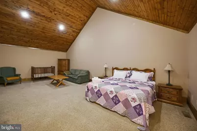 626 Winterset Drive, Davis, WV 26260 - Photo 144