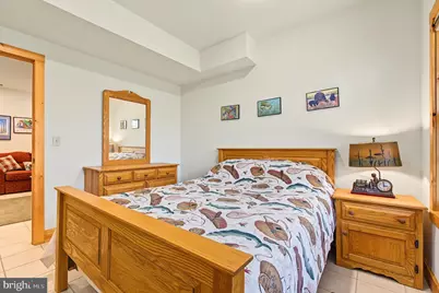 567 Ridge Road, Davis, WV 26260 - Photo 58