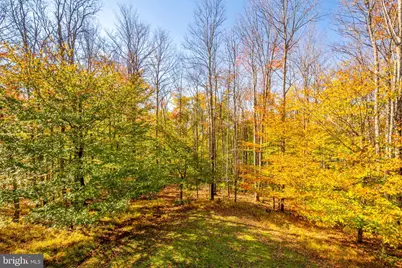 567 Ridge Road, Davis, WV 26260 - Photo 8