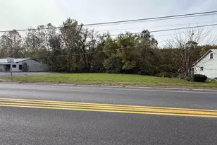 Tbd E Main St, Waynesboro, VA 22980 - Photo 1