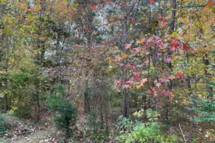 5162 Cedarlea Dr, West River, MD 20778 - Photo 1