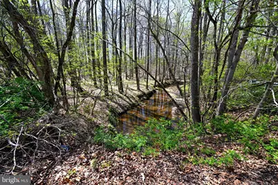 Patuxent River Road, Davidsonville, MD 21035 - Photo 1