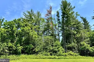 Firtree Ln, Cresaptown, MD 21502 - Photo 1