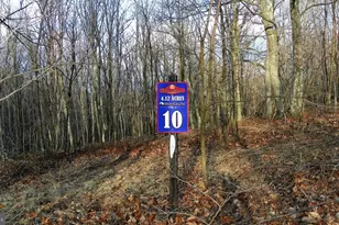 16326 Laurelhurst Blvd, Cresaptown, MD 21502 - Photo 1