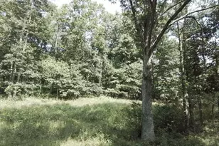 11731-11737 Town Creek Road NE, Flintstone, MD 21530 - Photo 1