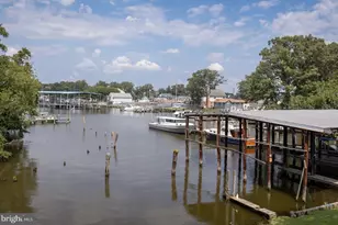 203 Oak Ave, Essex, MD 21221 - Photo 52