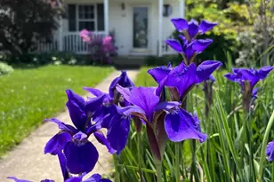 10 Ben Woods Ct, Baltimore, MD 21228 - Photo 1