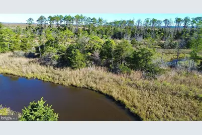 2726 Toddville Road, Toddville, MD 21672 - Photo 1