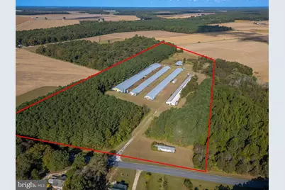 5936 Newhart Mill Road, Rhodesdale, MD 21659 - Photo 1