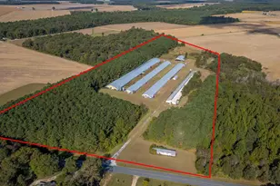 5936 Newhart Mill Rd, Rhodesdale, MD 21659 - Photo 1